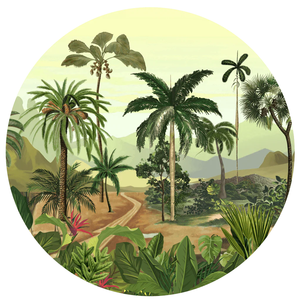 Tropical Path - Image 2